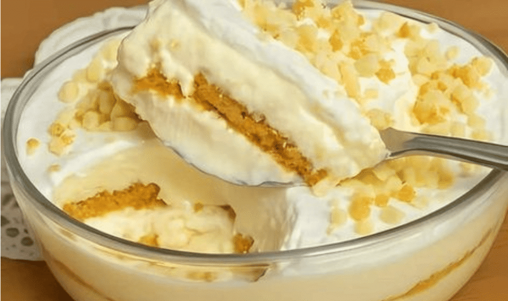 Fiz essa torta belga dos deuses com 4 leites e todo mundo aqui em casa pediu bis
