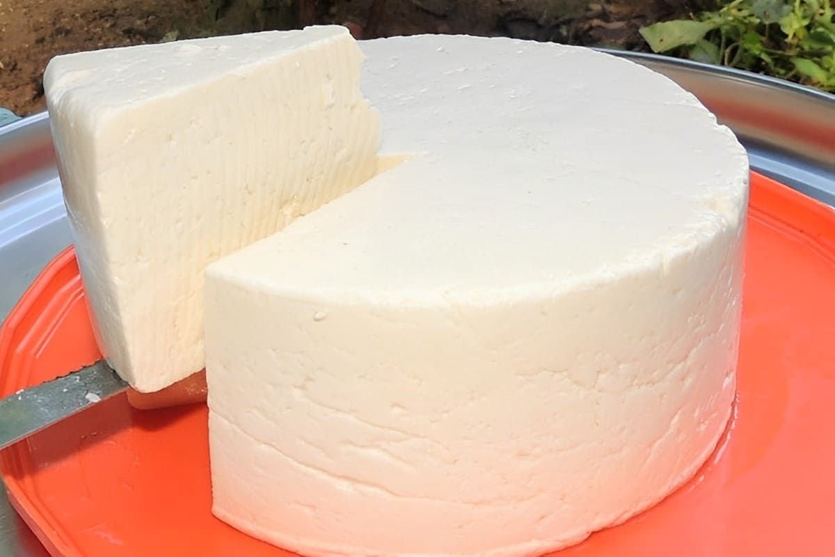 Fiz esse queijo coalho caseiro e agora ninguém aqui em casa quer mais comprar pronto